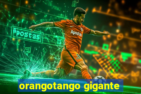 orangotango gigante